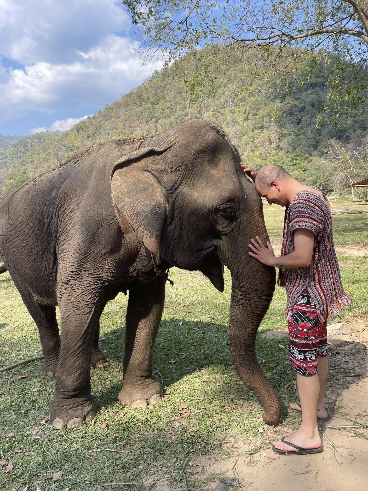 Elephant Care + Bamboo Rafting + Sticky Waterfall