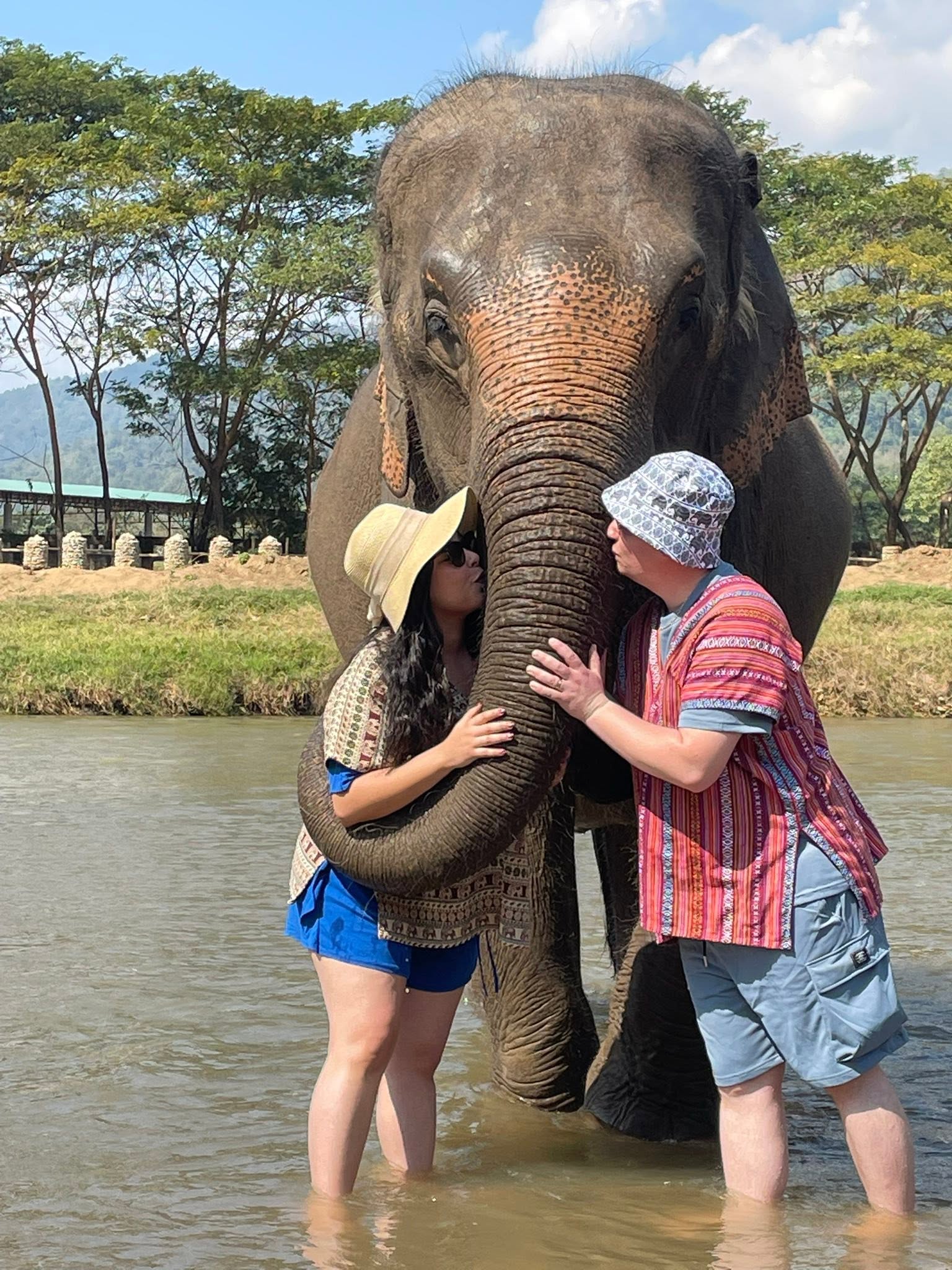 The Ethical Elephant Care